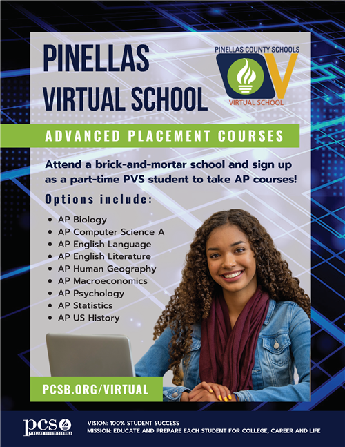 Pinellas Virtual School Flyer